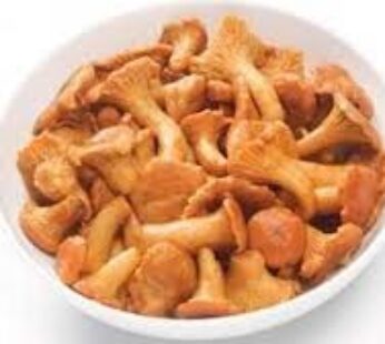 CHAMPIGNON GIROLLE – KG