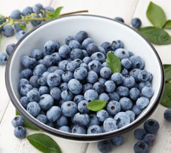 MYRTILLE – 1 KG